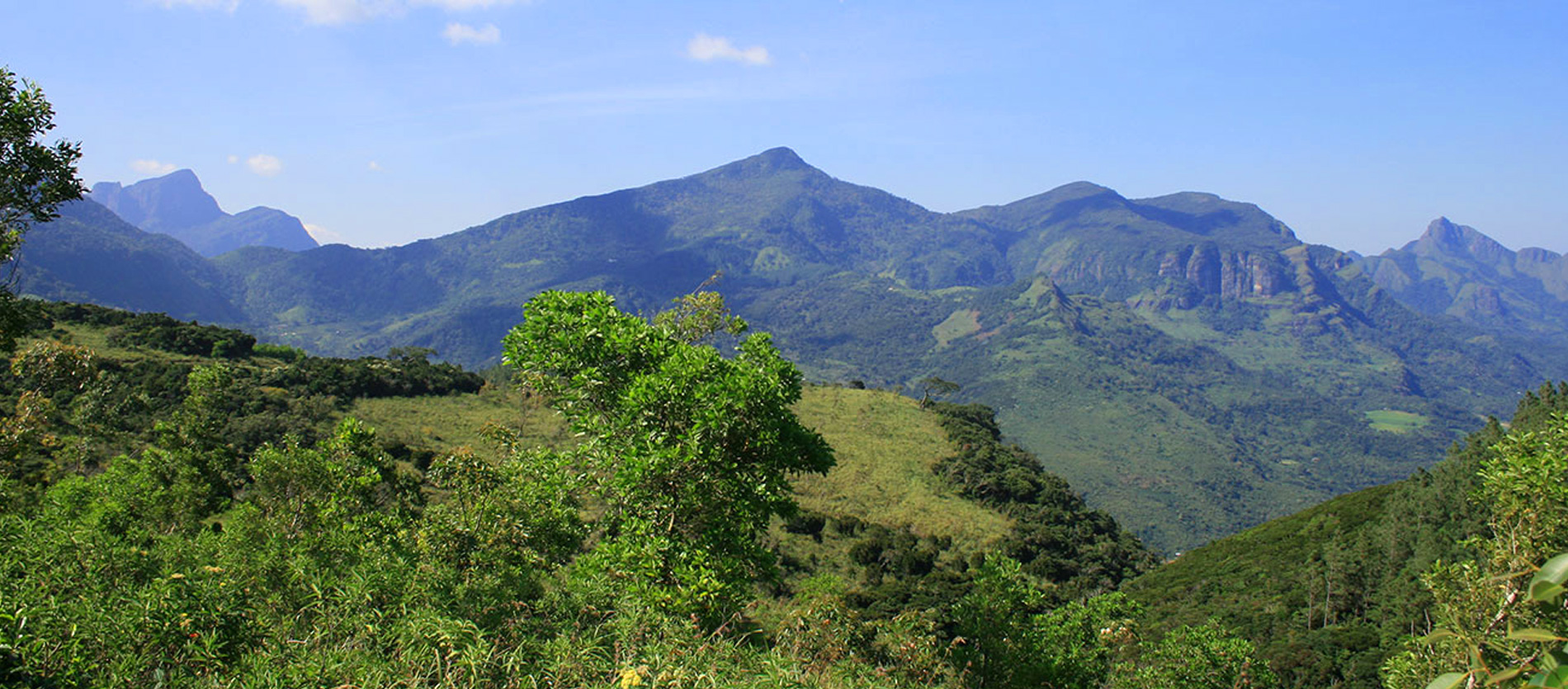 Knuckles Forest Reserve